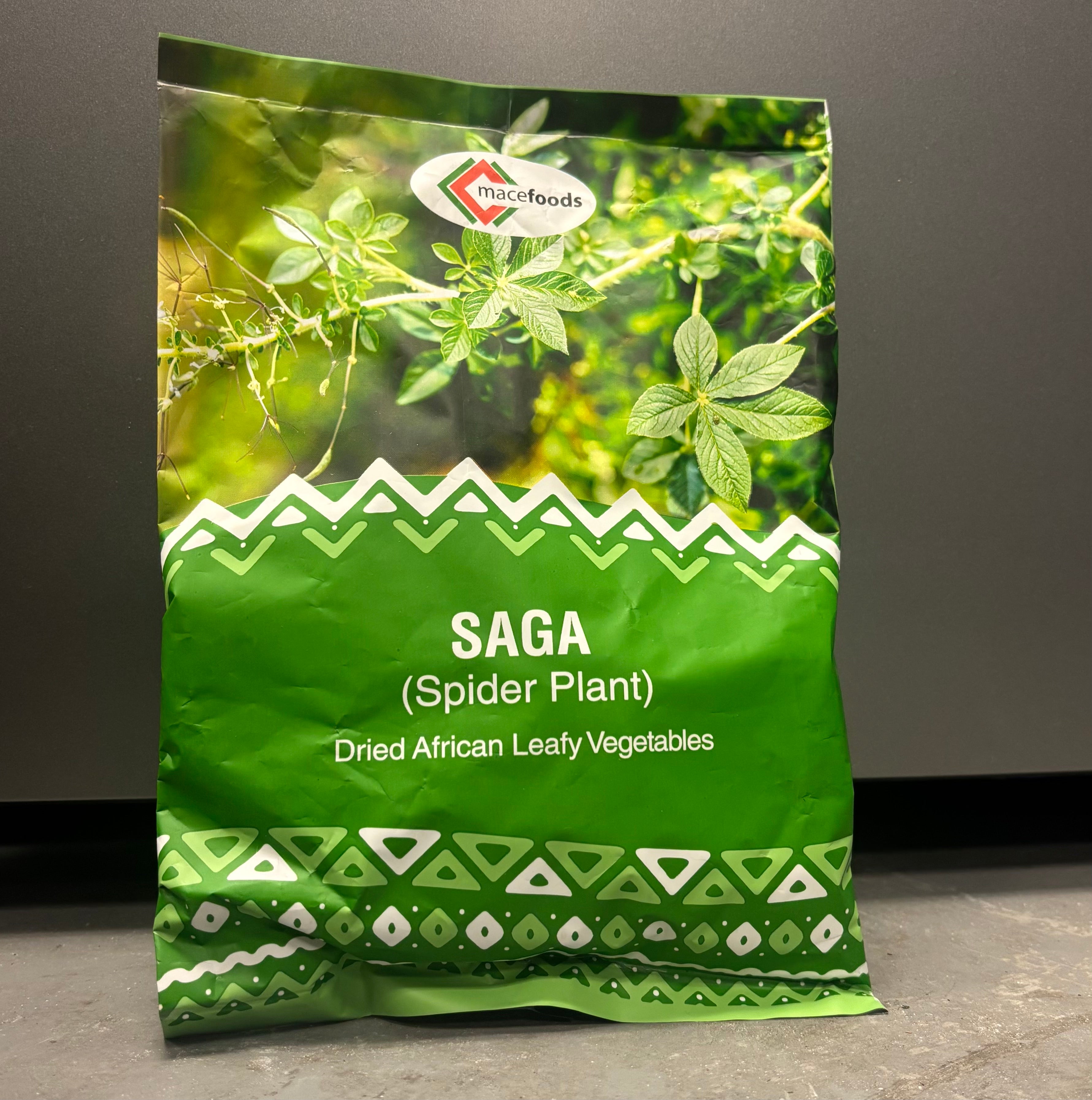 Saga Spider Plant