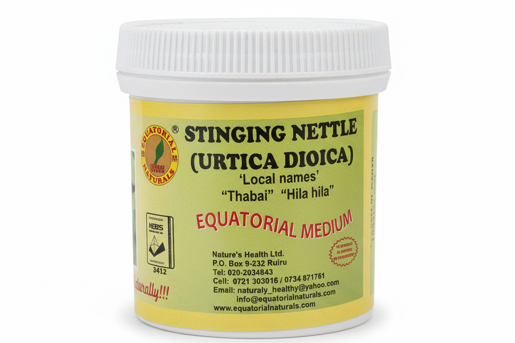 Stinging Nettle Urtica Hila